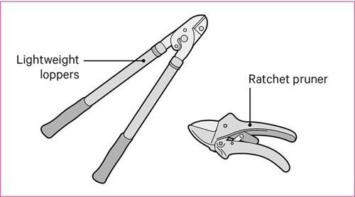 诠释了一对斩波器和一个棘轮修剪工具。